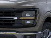 Thumbnail of 2025 Marsh Gray Ford F-150