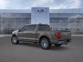 Thumbnail of 2025 Marsh Gray Ford F-150