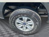 Thumbnail of 2018 Guard Metallic Ford F-150