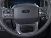 Thumbnail of 2025 Gray Ford F-150
