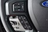 Thumbnail of 2016 Magnetic Ford F-150