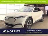 Photo of 2021 Star White Ford Mustang Mach-E
