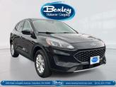 Photo of 2021  Ford Escape