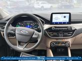 Thumbnail of 2021  Ford Escape