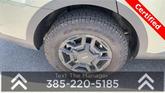 Thumbnail of 2024 Jungle Green Kia Sorento