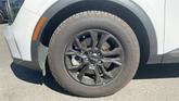 Thumbnail of 2024 Glacier White Pearl Kia Sportage