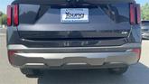 Thumbnail of 2025 Metal Kia Sorento