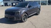 Thumbnail of 2025 Metal Kia Sorento