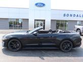 Thumbnail of 2020 Shadow Black Ford Mustang