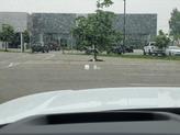 Thumbnail of 2024 Ostuni Pearl White Metallic Land Rover Range Rover