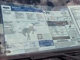 Thumbnail of 2025 Desert Sand Ford Bronco