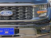 Thumbnail of 2025 Agate Black Metallic Ford F-150