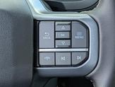Thumbnail of 2025 Carbonized Gray Metallic Ford F-150
