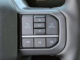 Thumbnail of 2025 Marsh Gray Ford F-150