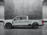 Thumbnail of 2025 Avalanche Ford F-250