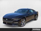 Photo of 2025 Shadow Black Ford Mustang