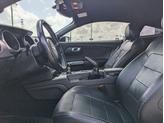 Thumbnail of 2019 Kona Blue Metallic Ford Mustang