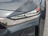 Thumbnail of 2020 Rainforest Hyundai SANTA FE