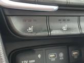 Thumbnail of 2020 Rainforest Hyundai SANTA FE