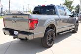 Thumbnail of 2025 Gray Ford F-150