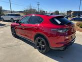 Thumbnail of 2024 Rosso Alfa Romeo Stelvio