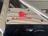 Thumbnail of 2023 Agate Black Metallic Ford F-150