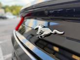 Thumbnail of 2021 Carbonized Gray Metallic Ford Mustang