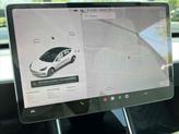 Thumbnail of 2019 Pearl White Multi-Coat Tesla Model 3