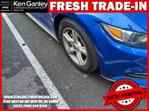 Thumbnail of 2017 Lightning Blue Ford Mustang