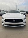 Thumbnail of 2022 Oxford White Ford Mustang