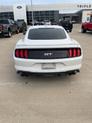 Thumbnail of 2022 Oxford White Ford Mustang
