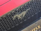 Thumbnail of 2023 Rapid Red Metallic Tinted Clearcoat Ford Mustang