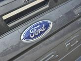 Thumbnail of 2020 Magnetic Ford F-250