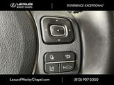 Thumbnail of 2020 Gray Pearl Lexus NX 300