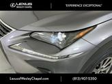 Thumbnail of 2020 Gray Pearl Lexus NX 300