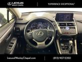 Thumbnail of 2020 Gray Pearl Lexus NX 300