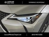 Thumbnail of 2021 Dark Gray Metallic Lexus UX 250h