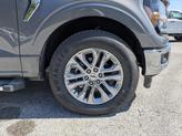 Thumbnail of 2025 Carbonized Gray Metallic Ford F-150