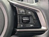 Thumbnail of 2019 Abyss Blue Pearl Subaru Outback