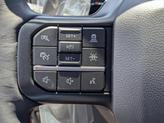 Thumbnail of 2025 Carbonized Gray Metallic Ford F-150