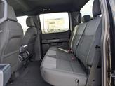 Thumbnail of 2025 Agate Black Metallic Ford F-150