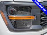 Thumbnail of 2025 Oxford White Ford F-150