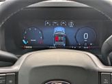 Thumbnail of 2025 Carbonized Gray Metallic Ford F-150