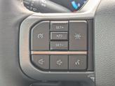Thumbnail of 2025 Carbonized Gray Metallic Ford F-150