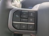 Thumbnail of 2025 Agate Black Metallic Ford F-150 Lightning