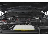 Thumbnail of 2025 Shelter Green Ford F-150