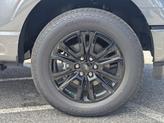 Thumbnail of 2025 Carbonized Gray Metallic Ford F-150