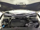 Thumbnail of 2019 White Honda Odyssey