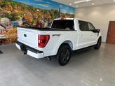 Thumbnail of 2023 Oxford White Ford F-150