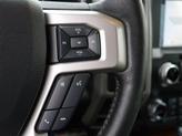 Thumbnail of 2019 Magnetic Ford F-150